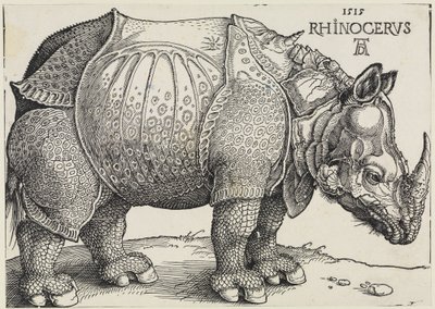 Rhinocerus (Noshörningen) av Albrecht Dürer