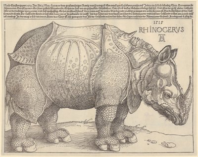 Noshörning av Albrecht Dürer