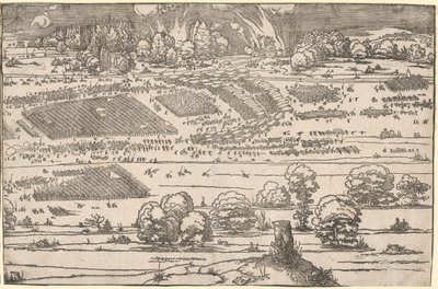 swedish av Albrecht Dürer