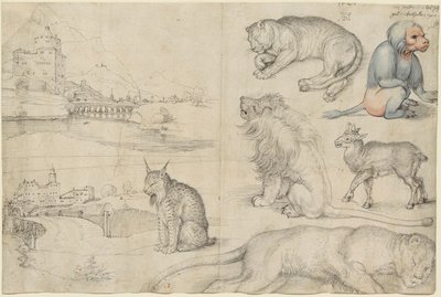 Skisser över djur och landskap, 1521. av Albrecht Dürer