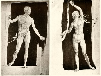 Studier om Adam och Eva av Albrecht Dürer