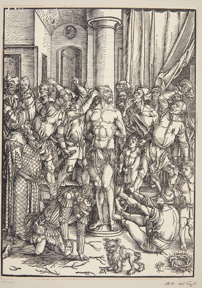 Flagglingen av Albrecht Dürer