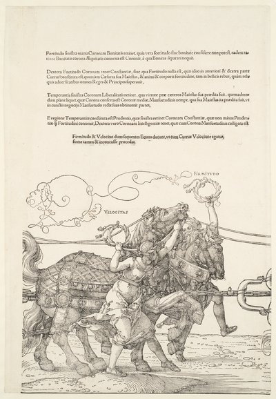  av Albrecht Dürer