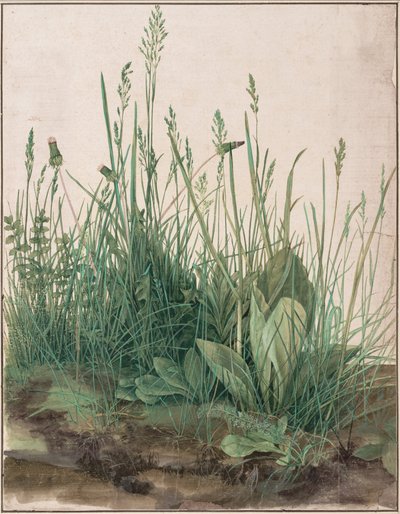 Den stora gräsmattan av Albrecht Dürer
