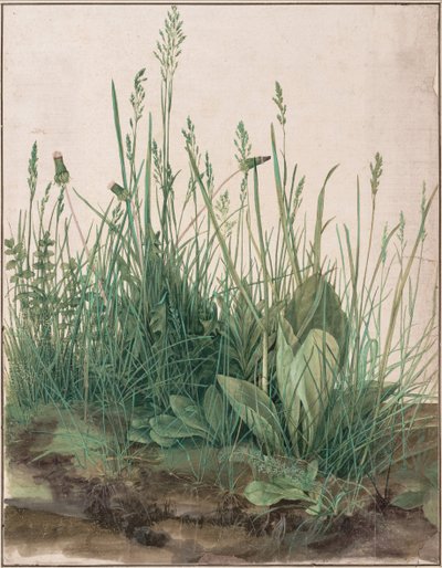 Det stora gräset, 1503 av Albrecht Dürer