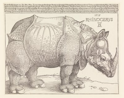 Noshörningen av Albrecht Dürer