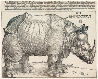 Noshörningen av Albrecht Dürer