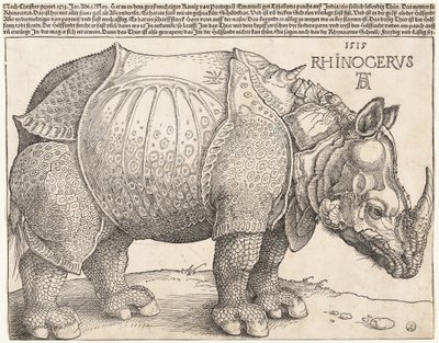  av Albrecht Dürer