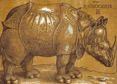 Noshörningen, 1515. av Albrecht Dürer