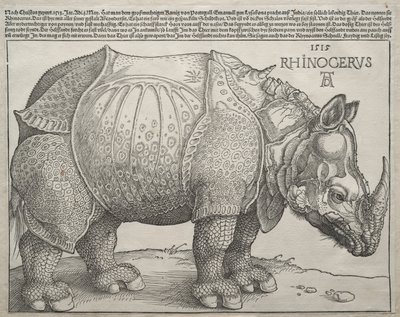 Noshörningen, 1515. av Albrecht Dürer