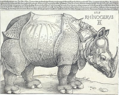 Noshörningen, 1515, 1515. av Albrecht Dürer