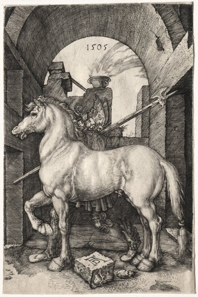 Den lilla hästen av Albrecht Dürer