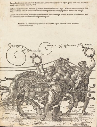 The Triumphal Chariot of Maximilian I The Great Triumphal Car [skylt 6 av 8], 1523 latinsk upplaga.. av Albrecht Dürer