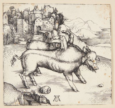 Den monstruösa suggan av Landser av Albrecht Dürer