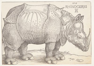 Noshörningen av Albrecht Dürer