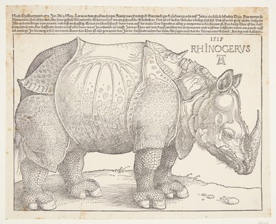 Noshörningen av Albrecht Dürer