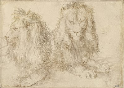 Två liggande lejon. 1521 av Albrecht Dürer