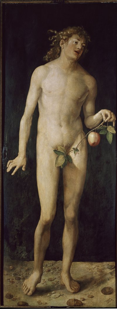 Adam (olja på trä av Albrecht Dürer
