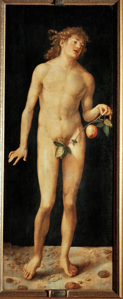 Adam av Albrecht Dürer or Duerer
