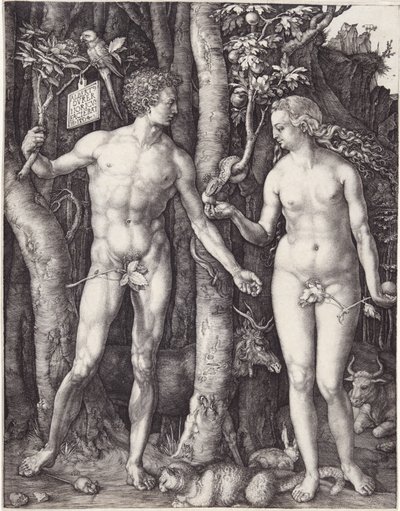 Adam och Eva, pub. 1504 (gravyr) av Albrecht Dürer