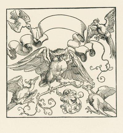 En uggla attackerad av fyra andra fåglar, ca 1515 (träsnitt) av Albrecht Dürer or Duerer