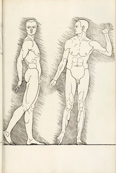 Anatomiska träsnitt från Herein finns fyra böcker av mänsklig proportion, 1528 av Albrecht Dürer