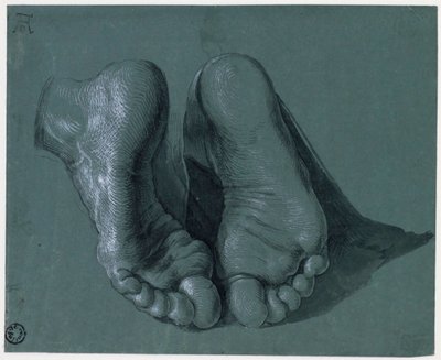 Etude de pieds - Study of Two Feet - Teckning av Albrecht Durer (1471-1528), Akvarell, vit färg, svart krita på papper, c1508 (17,6x21,6cm) - Museum Boijmans Van Beuningen, Rotterdam av Albrecht Dürer