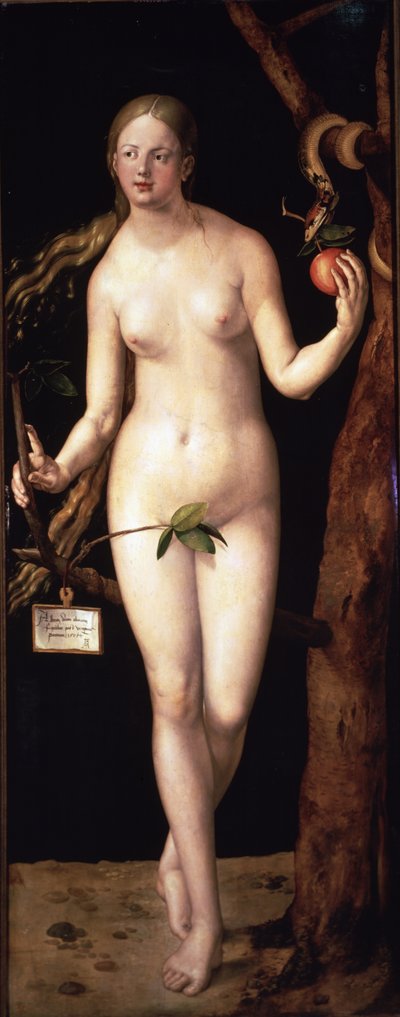  av Albrecht Dürer or Duerer