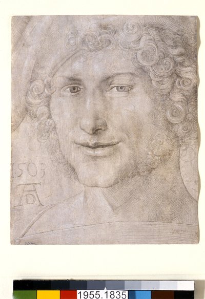Chef för en ung man, 1503 av Albrecht Dürer