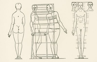 Illustration från Albrecht Dürers avhandling om proportionalitetsprinciperna av Albrecht Dürer or Duerer