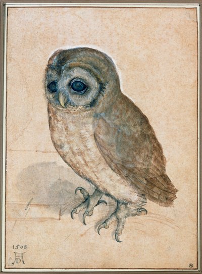 Kaeuzchen - Den lilla ugglan av Albrecht Dürer or Duerer