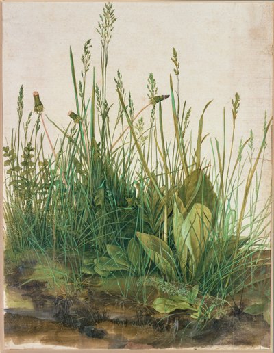 Stor torvklump - Das grosse Rasenstueck av Albrecht Dürer or Duerer