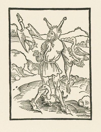 Narr hur som vern av Albrecht Dürer or Duerer
