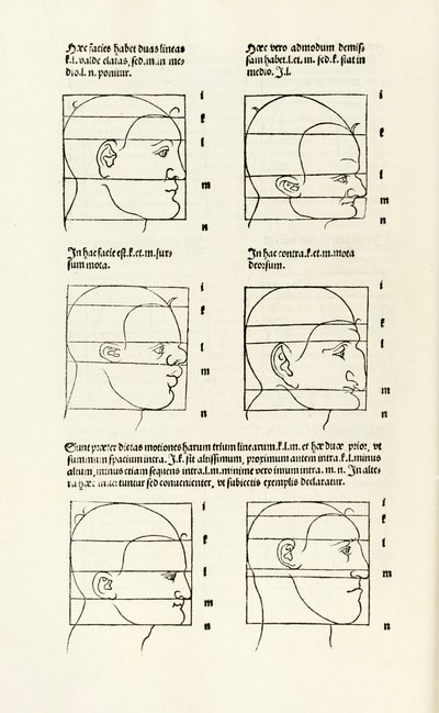 Proportioner av det mänskliga huvudet från "Här förstås fyra böcker av mänsklig proportion" av Albrecht Dürer