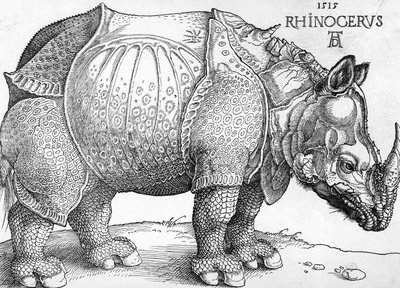 Noshörning av Albrecht Dürer
