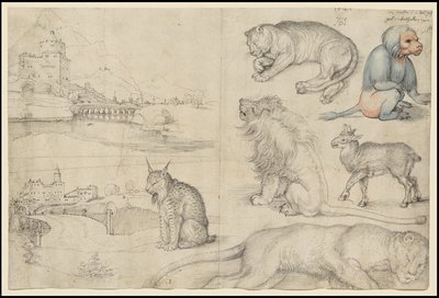 Skisser över djur och landskap, 1521 av Albrecht Dürer