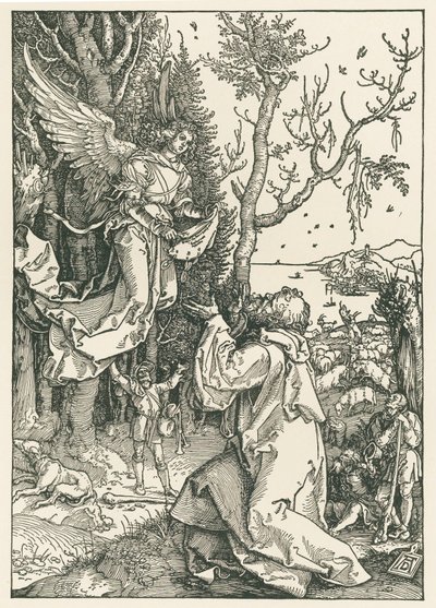 Ängeln med budskapet till Joachim, ca 1504 (träsnitt) av Albrecht Dürer or Duerer