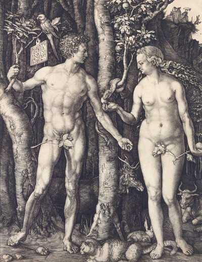Menneskets fald af Albrecht Durerswed av Albrecht Dürer