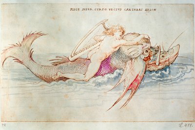 Den grekiske poeten Arion rider på delfin, ca 1515 (akvarell på papper) av Albrecht Dürer or Duerer