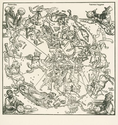 Det norra halvklotet av den celestrala globen av Albrecht Dürer or Duerer