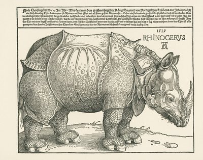 Noshörningen av Albrecht Dürer or Duerer
