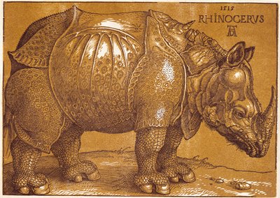 Noshörningen av Albrecht Dürer or Duerer