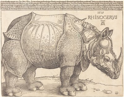 Noshörningen av Albrecht Dürer