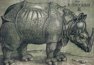 Noshörningen, 1515 av Albrecht Dürer