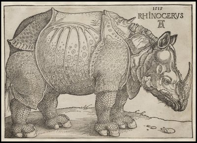 Noshörningen, 1515 av Albrecht Dürer