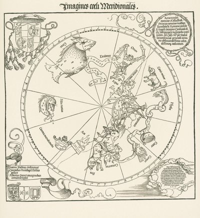 Södra halvklotet av den celestrala globen av Albrecht Dürer or Duerer