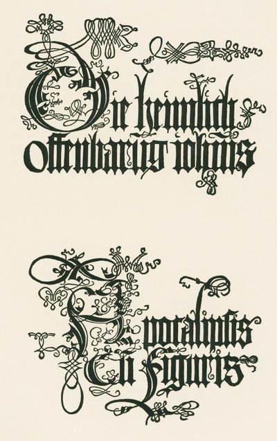 Titel på den tyska utgåvan från 1498: Den hemliga uppenbarelsen av Johannes ... av Albrecht Dürer or Duerer