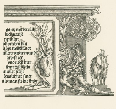 Triumfbåge för kejsar Maximilian I av Albrecht Dürer or Duerer