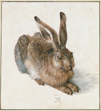 Ung hare av Albrecht Dürer or Duerer
