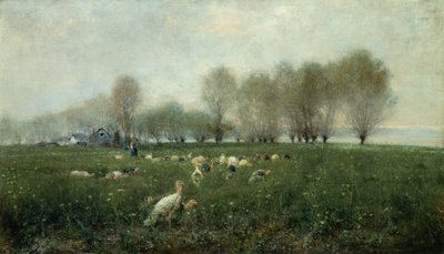 Kalkoner på landsbygden vid solnedgången (olja på duk) av Alceste Campriani